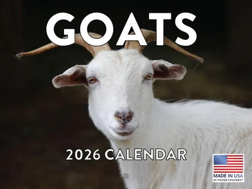 Miniatura 67 de Calendario alpaca 2026, calendario mensual de pared de 12 meses Hecho en Estados Unidos.