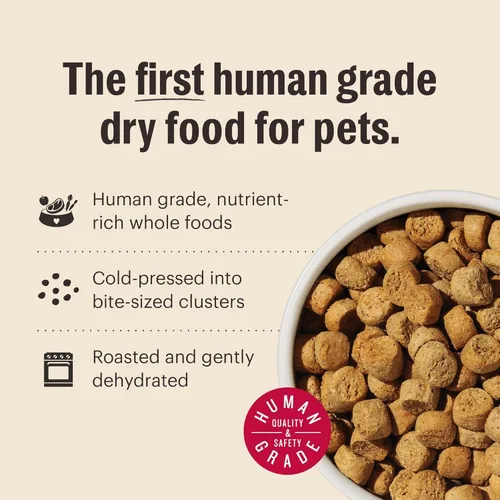 Miniatura 7 de The Honest Kitchen Alimento seco para perros en racimos de alimentos integrales de grado humano, carne de res sin cereales, bolsa de 5 libras