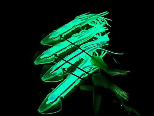 Miniatura 4 de LOBO LURES SquidNation Billfish Edition Longtail Flippy Floppy Pakula Edition Marlin & Atún Teaser - Cadena de margaritas LUMO Glow