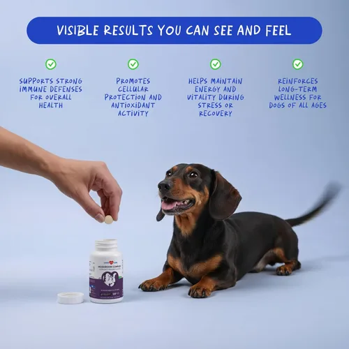 Miniatura 2 de Hongo de cola de pavo para perros, complejo de hongos para bultos y protuberancias, Reishi, Cordyceps, melena de león, cola de pavo, maitake