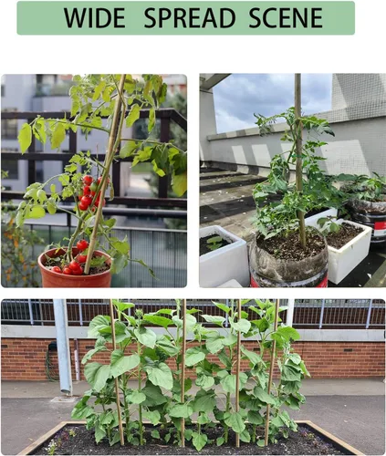 Miniatura 6 de Estacas de bambú de 4 pies con 100 bridas giratorias, estacas de jardín de bambú natural para tomates, pepino, uvas, judías, árboles, flores