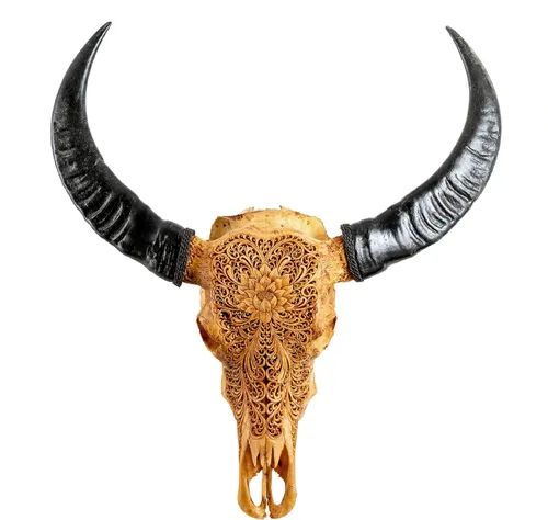 Miniatura 18 de Skull Bliss - Auténtica calavera de búfalo tallada a mano de taxidermia real/Decoración de pared única con calavera de toro real/Decoración genuina