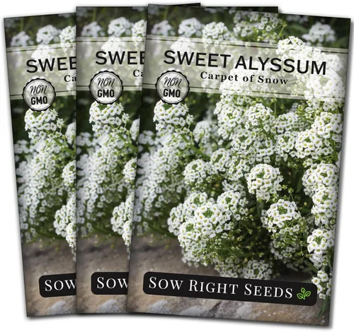 Miniatura 8 de Sow Right Seeds - Alfombra blanca de semillas de flores de nieve Sweet Alyssum para plantar - Paquete de reliquia sin OMG con instrucciones