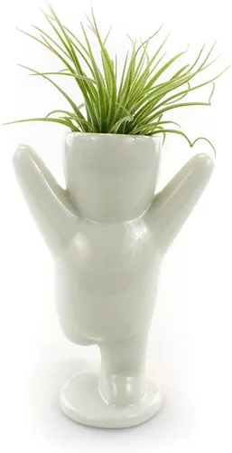 Miniatura 7 de NW Wholesaler Maceta de cerámica blanca con forma de persona feliz de 3.25 pulgadas con planta de aire Tillandsia viva, plantas de aire