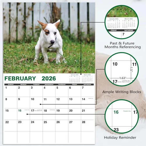 Miniatura 3 de Gag Gifts - Calendario 2021, calendario de pared, perros haciendo popo, para regalos de broma, enero a diciembre del 2021, 28 x 43.18 cm