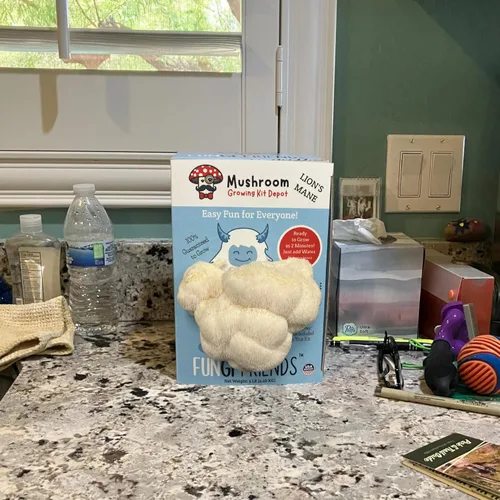 Miniatura 4 de Kit de cultivo de hongos melena de león (5 libras) Betty The Yeti Apto para principiantes y fácil de usar Hecho a mano en Estados Unidos