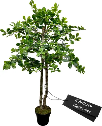 Cypress & Alabaster Árbol artificial de hoja de olivo negro italiano hecho a mano de 4 pies con troncos de madera real de origen ético,