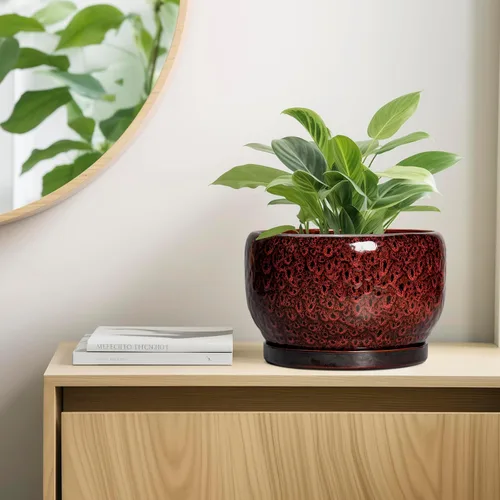 Miniatura 7 de SQOWL Maceta de cerámica para plantas - Maceta de cerámica de 6 pulgadas para interiores y exteriores, maceta decorativa para plantas con orificio