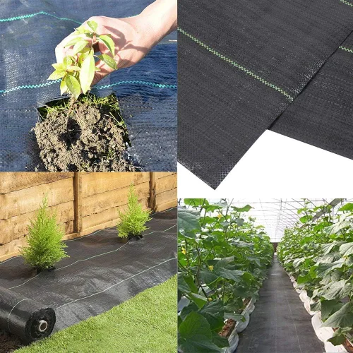 Miniatura 7 de Goasis Lawn - Cubierta para el control de las malas hierbas en el césped, membrana resistente no tejida para bloquear las hierbas en el jardín