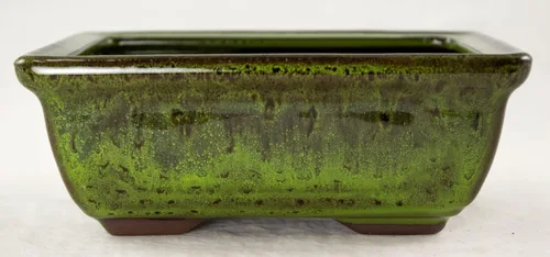 Miniatura 7 de Maceta para bonsái Shohin rectangular de 6 pulgadas + tierra + bandeja + roca + kit de malla, azul, verde