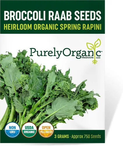 Semillas de brócoli raab orgánico (Rapini de primavera) - Aprox. 750 semillas - Orgánico USDA, sin OMG, polinización abierta, variedad autóctona,