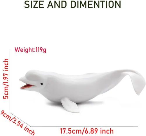 Miniatura 3 de Figura de ballena Beluga realista sólida, criatura marina del océano blanco, juguete educativo de aprendizaje para niños y niños pequeños 01 Beluga