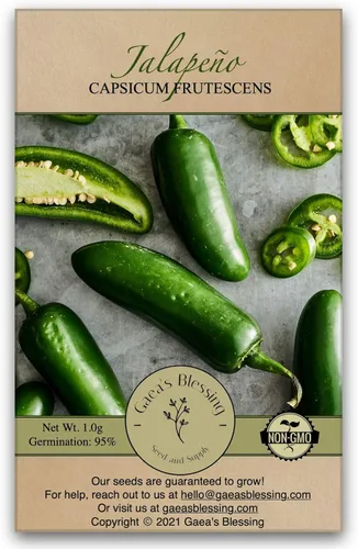 Gaea's Blessing Semillas – Semillas de pimiento jalapeño – Semillas de pimiento picante tradicionales sin OMG de polinización abierta de alto