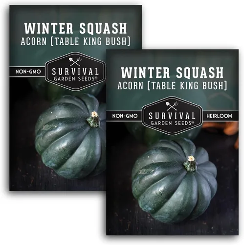 Miniatura 10 de Table King - Semilla de calabaza bellota para plantar, 1 paquete con instrucciones para plantar y cultivar calabazas de invierno estilo arbusto