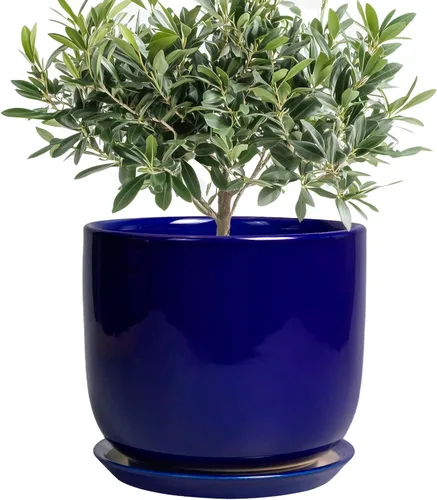 Miniatura 65 de Maceta de Cerámica para Plantas de Interior de 5 Pulgadas - Maceta Redonda para Plantas Suculentas con Agujero de Drenaje y Platillo, Decoración
