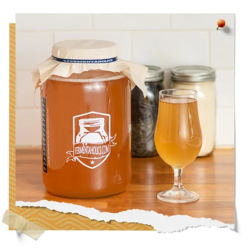 Miniatura 7 de Fermentaholics Kombucha SCOBY ORGÁNICO con doce onzas de té de iniciación – Cultivo de inicio en vivo – hace un lote de un galón – 1.5 tazas de té