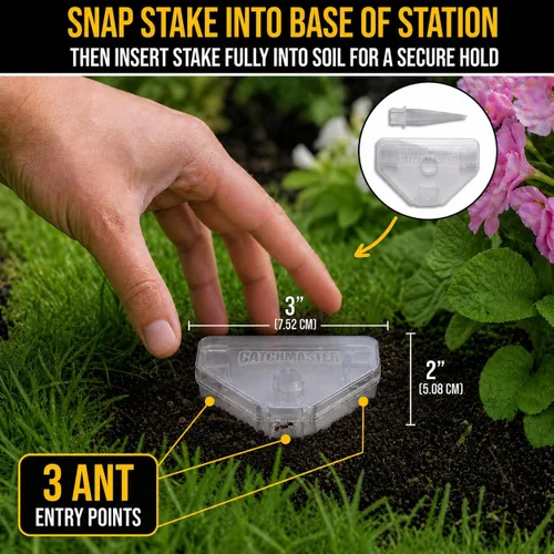 Miniatura 3 de Catchmaster DEFIANT - Trampas para hormigas reutilizables para jardín al aire libre (paquete de 5), cebo no incluido - Estaciones de cebo que
