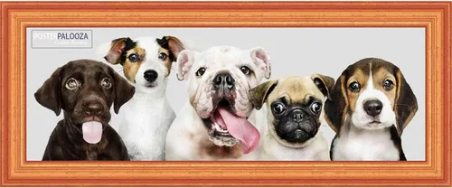 Poster Palooza 4x10 Traditional Gold Complete Wood Picture Frame with UV Acrylic Plexiglass, Foam Board Backing & Hardware Included - 4x10 Inch Frame