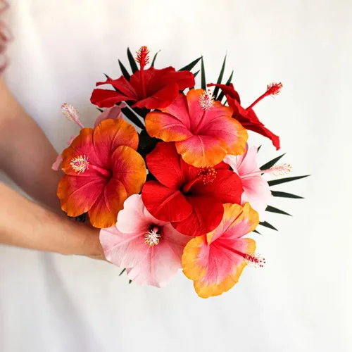 Miniatura 2 de Hibisco Rosa. rosa-sinensis. Planta Viva - Hibisco Tropical Floreciente, Flores Bonitas, Usado en Té y Jugo (2 Plantas de Hibisco Rosa)