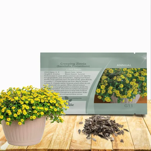 Outsidepride Semillas de zinnia rastreras – 2000 semillas anuales de flores para plantar al aire libre, fáciles de cultivar, tolerantes a la sequía,