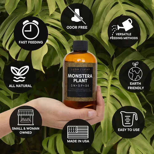 Miniatura 2 de Lush Leaf Alimento para plantas (Gardenia)