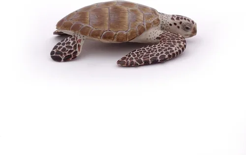 Miniatura 7 de Papo - Figura realista de tortuga marina boba - A partir de 3 años - Colección de vida marina - Animales marinos educativos - Juguete de idea