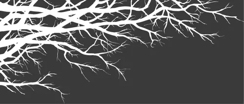 Miniatura 2 de Vinilo mural para pared, diseño de ramas superiores de árbol, 67 pulgadas de ancho x 28 1/2 pulgadas de alto, de izquierda a derecha (negro)