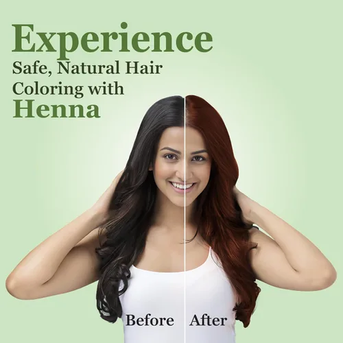 Miniatura 7 de Prem Dulhan Polvo natural de henna mehendi de 35.27 onzas (2.2 lbs) – Coloración orgánica del cabello sin químicos y acondicionamiento profundo