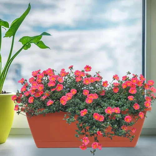 Miniatura 3 de Macetero rectangular con agujeros de drenaje y bandejas, 8 unidades, macetas de plástico para ventana de 17 pulgadas, macetas de plástico para Rojo