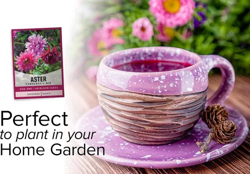 Miniatura 4 de Gardeners Basics Aster Powderpuff Mix Semillas de flores