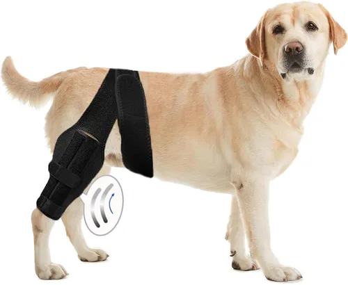 XS - Soportes para patas de perro para la pierna trasera para apoyo con lesiones del ligamento cruzado, mejor recuperación con rodillera de perro