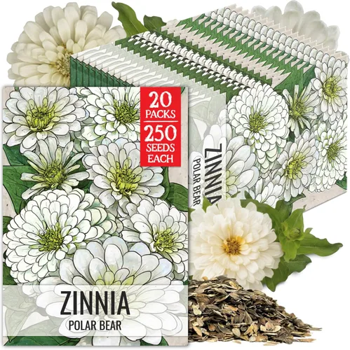 Miniatura 19 de Seed Needs California Giants - Semillas de zinnia – 250 semillas tradicionales para plantar Zinnia elegans – Cultiva flores anuales polinizadas