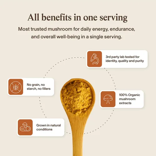 Miniatura 7 de Real Mushroom Cordyceps - Polvo de hongos Cordyceps Energía y rendimiento - Polvo Cordyceps orgánico con beta-glucanos, suplemento vegano, sin OMG