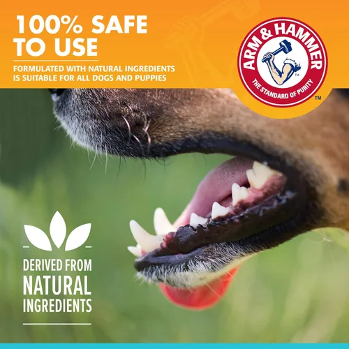 Miniatura 4 de Arm & Hammer Pasta de dientes enzimática de aliento fresco para perros, sabor a vainilla y jengibre, bicarbonato de sodio, gel dental que elimina