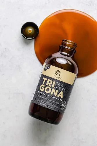 Miniatura 3 de Anaya Miel de Trigona 100% pura y cruda (miel de abeja melipona sin aguijón) - Sin filtrar, cultivada orgánicamente, sin OMG, sin alimentación