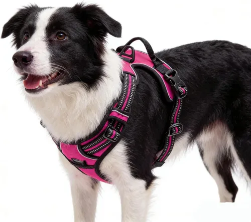 Miniatura 16 de Arnés azul para perro sin tirones con 2 clips para correa, chaleco acolchado suave para perros grandes, chaleco reflectante ajustable para perro