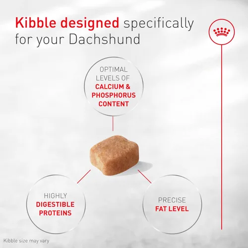 Miniatura 4 de Alimento seco para perros Royal Canin Breed Health Nutrition para Dachshund adulto, bolsa de 10 lb