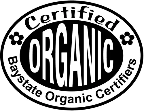 Miniatura 5 de Smoke Camp Crafts Spicebush (Lindera Benzoin) 10 Organic Seeds for Planting - Wild Allspice, Spice Bush - Native Pollinator Shrub