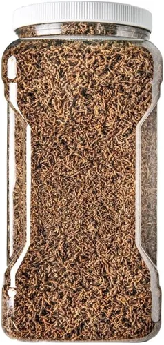 Miniatura 2 de Gusanos de sangre - Gusanos de sangre flotantes liofilizados de grado A para disco, cíclidos, peces marinos, peces tropicales, plantas carnívoras