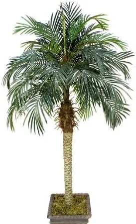 Miniatura 2 de Dos palmeras tropicales artificiales de coco fénix de 6 pies, sin maceta