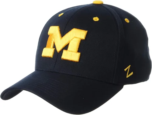 Miniatura 56 de ZHATS - Sombrero ajustado elástico para hombre de la NCAA, color del