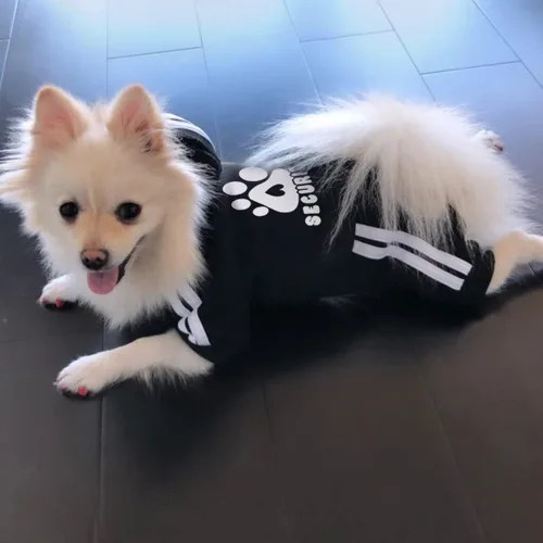 Miniatura 2 de Sudadera de seguridad con capucha para perros de 4 patas - Mono con sudadera - Sudaderas - Ropa suave y cálida para perros - Suéter con capucha