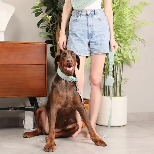 Miniatura 4 de Collares de perro personalizados grabados con nombre y número de teléfono para perros pequeños, medianos y grandes (verde menta, S)