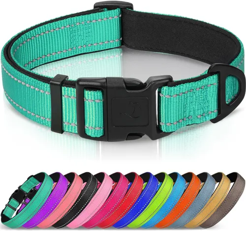 Joytale - Collar reflectante para perro, collar de nailon transpirable con acolchado de neopreno suave para mascotas, ajustable para perros Verde