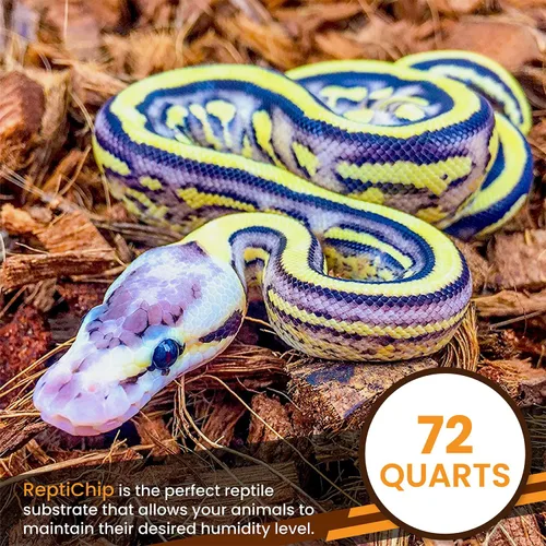 Miniatura 5 de ReptiChip - Sustrato de reptil con chips de coco de 72 cuartos de galón de capacidad, bloque de cáscara de coco orgánico comprimido para hábitat