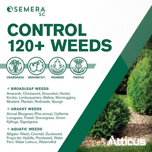 Miniatura 4 de Atticus Semera SC Herbicida (8 onzas) – 44% Flumioxazin Weed Killer – Temporada larga césped y control de malezas acuáticas
