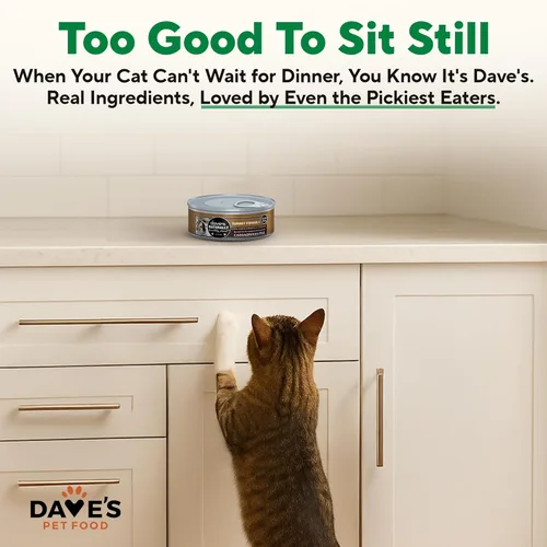 Miniatura 6 de Dave's Pet Food Paté húmedo sin granos para gatos (Turquía), fabricado en Estados Unidos naturalmente saludable, conservado, vitaminas y minerales