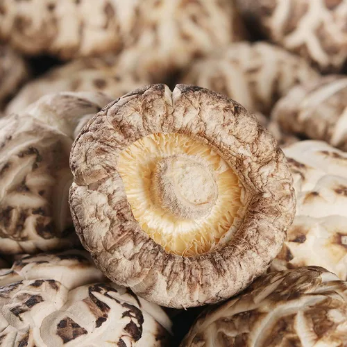 Miniatura 3 de Hongos Shiitake; Hongo Premium; Setas Shiitake Orgánicas Secas Micológicas,Champiñones Shiitake Premium secos (Hua gu-8.82 oz(0.55 libras))