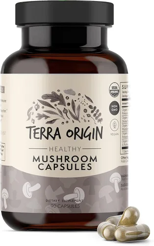TERRA ORIGIN Suplemento de complejo de hongos saludables | 90 cápsulas | Reishi, melena de león, Changa, Cordyceps, Maitake | Apoyo cerebral