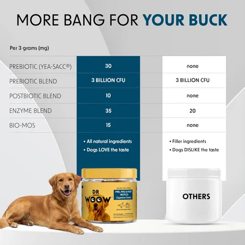 Miniatura 8 de Suplementos probióticos para perros masticables suaves (90 unidades) – Apoyo digestivo + equilibrio intestinal y apoyo de heces saludables